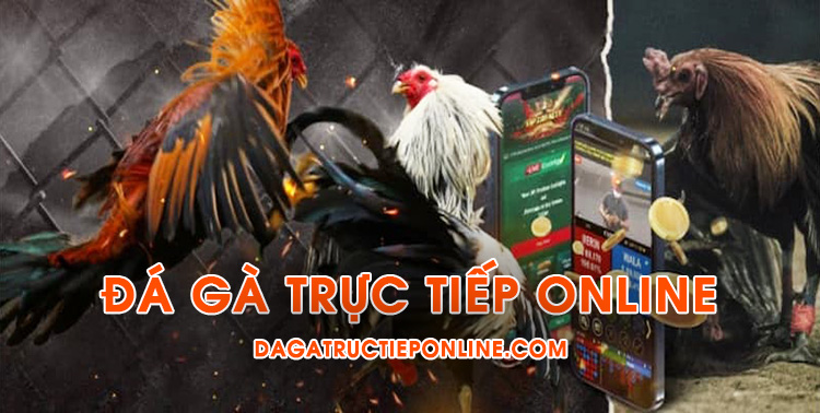 Đá gà trực tiếp online bình luận viên ngày hôm nay